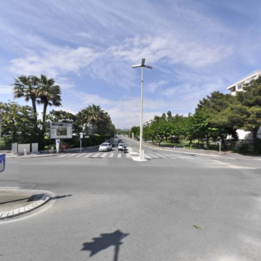 Rent A Car - Location d'automobiles de tourisme et d'utilitaires - Cannes