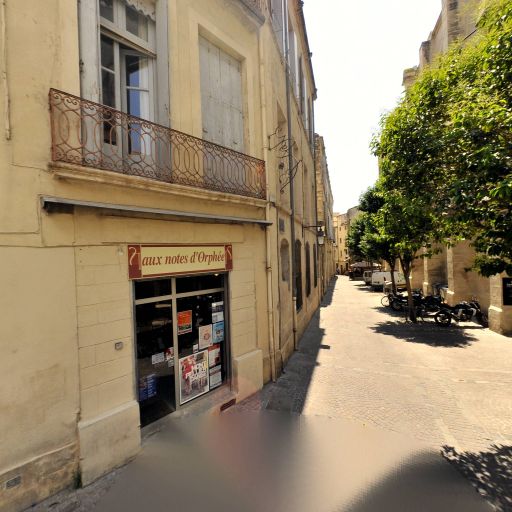 Aux Notes d'Orphée - Vente et location d'instruments de musique - Montpellier