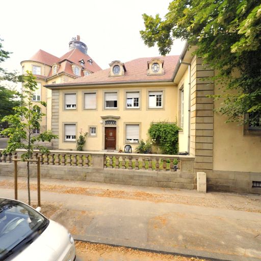 Lycée polyvalent Martin Schongauer - Section d'enseignement professionnel - Lycée professionnel public - Colmar