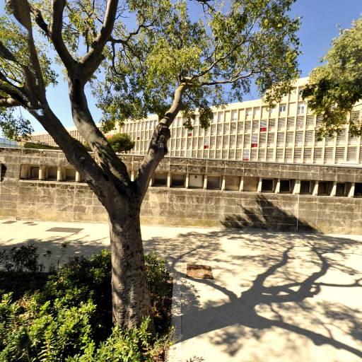 Lycée Ernest Hemingway Voie professionnelle - Lycée d'enseignement général et technologique privé - Nîmes